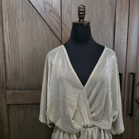 IRO Metallic Gold Sheer Dress - Picture 2 of 4